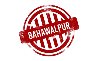 Bahawalpur Mehndi Design