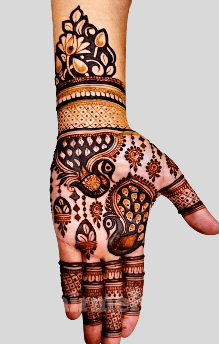 Comely Bangladesh Henna Design