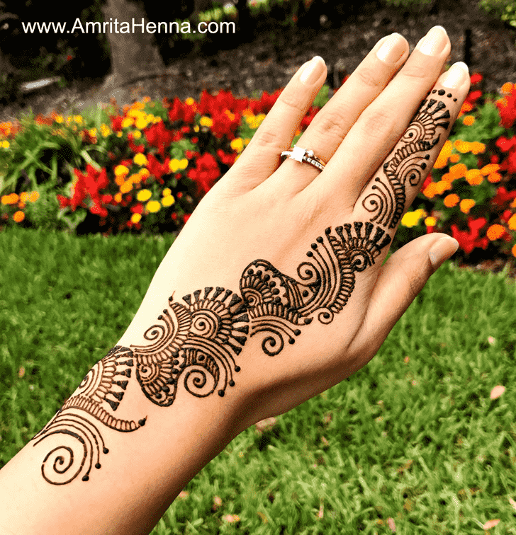 Stunning Beautiful Henna Design