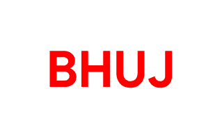 Bhuj Mehndi Design