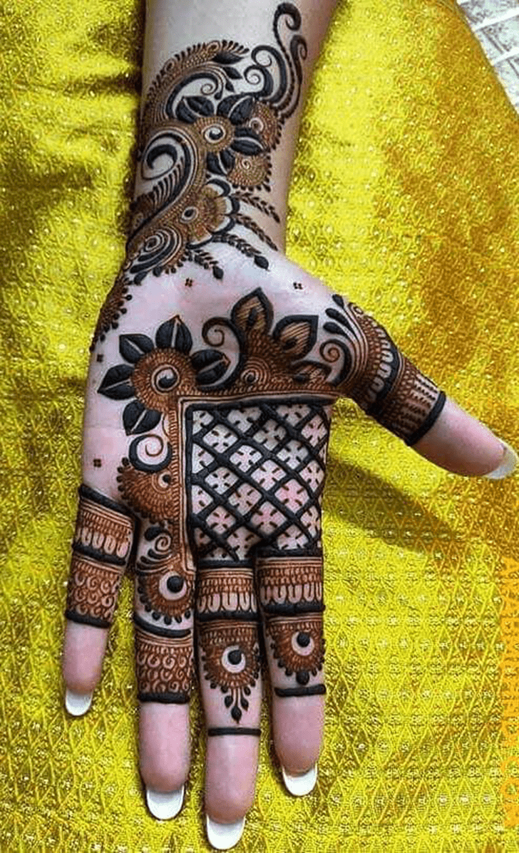 Ravishing Elegant Henna Design
