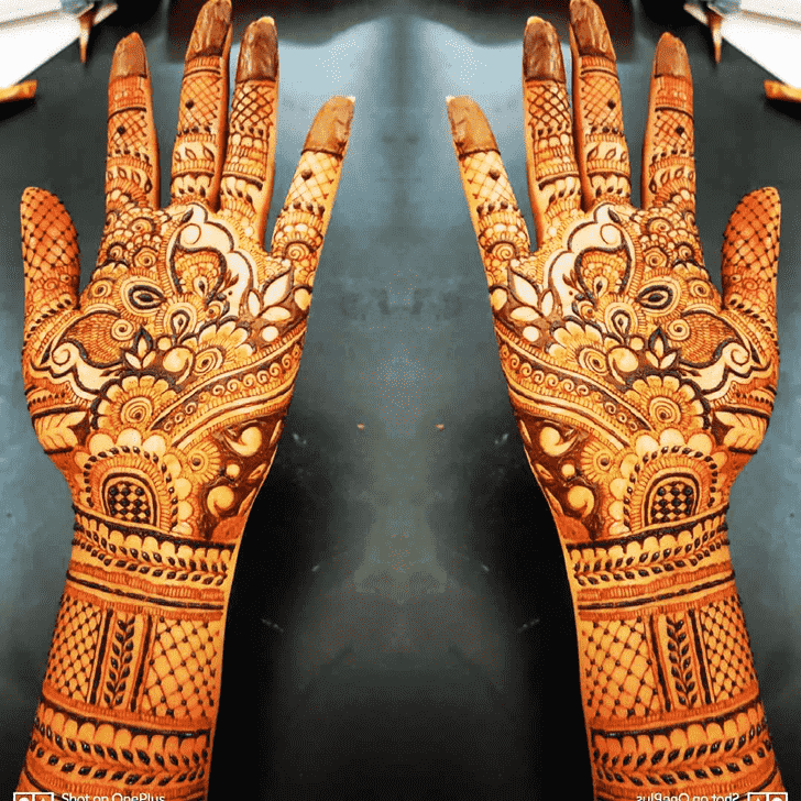 Beauteous Gandhinagar Henna Design