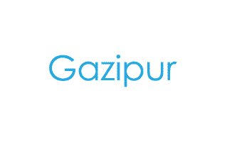 Gazipur Mehndi Design
