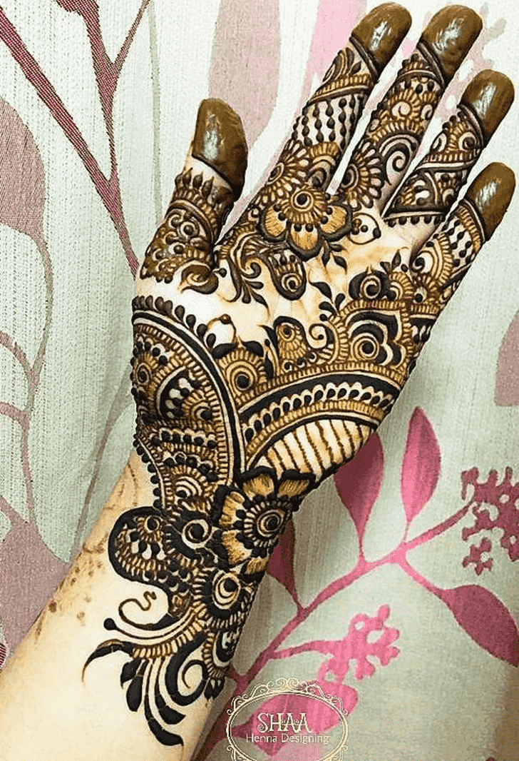 Appealing Indo Arabic Henna Design