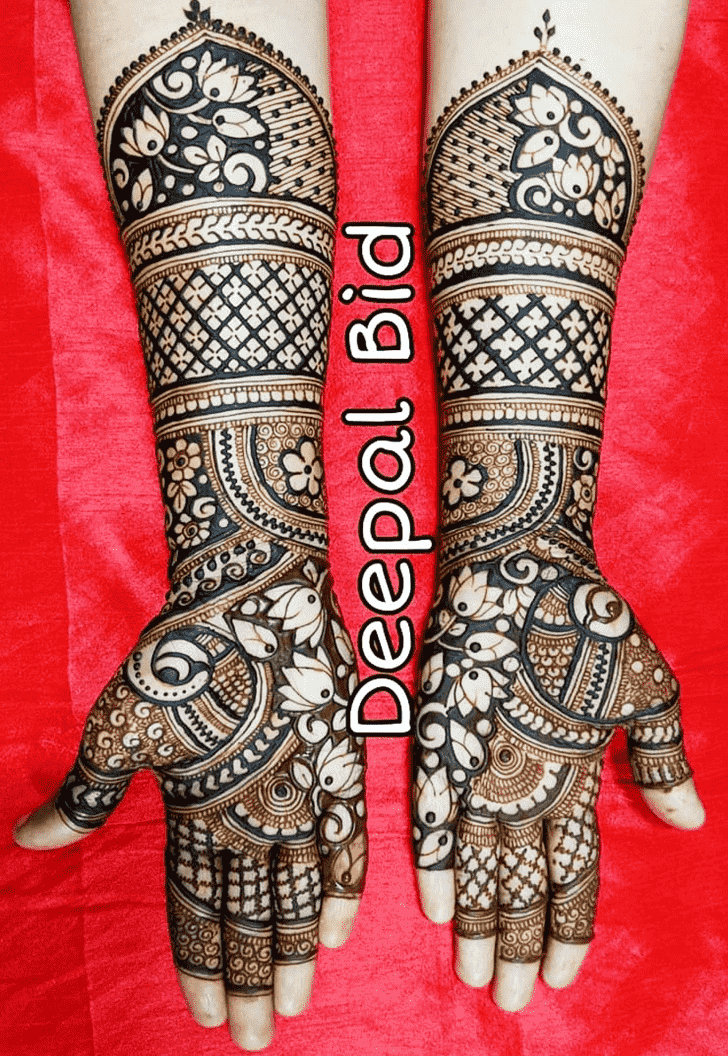 Adorable Indo Western Henna Design