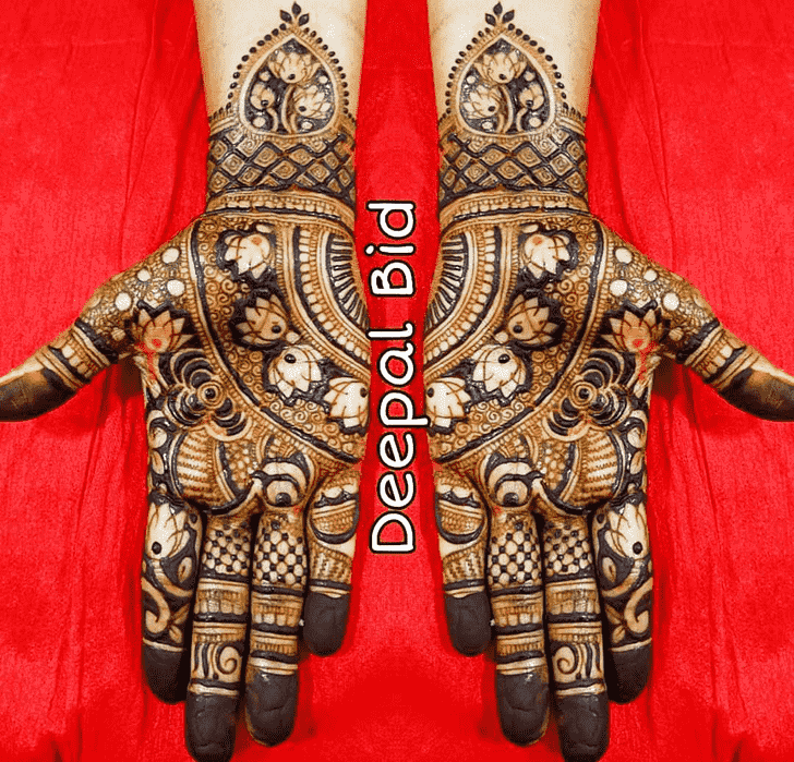 Delicate Indo Western Henna Design
