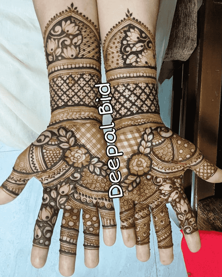 Elegant Indo Western Henna Design