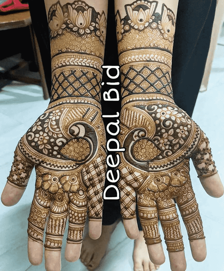 Enticing Indo Western Henna Design