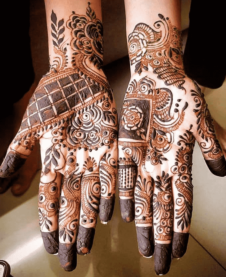 Mesmeric Indo Western Henna Design
