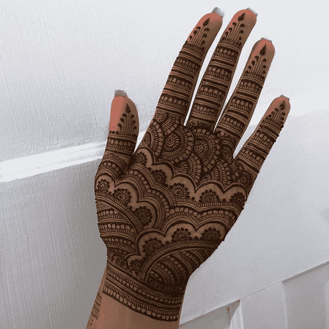 Good Looking Janakpur Henna Design
