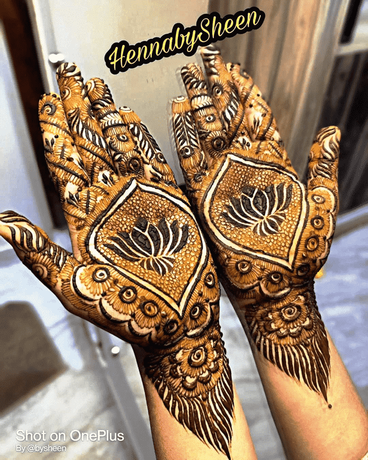 Good Looking Jodhpur Henna Design