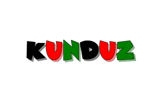 Kunduz Mehndi Design