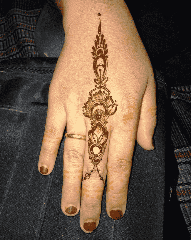 Superb Ladakh Henna Design