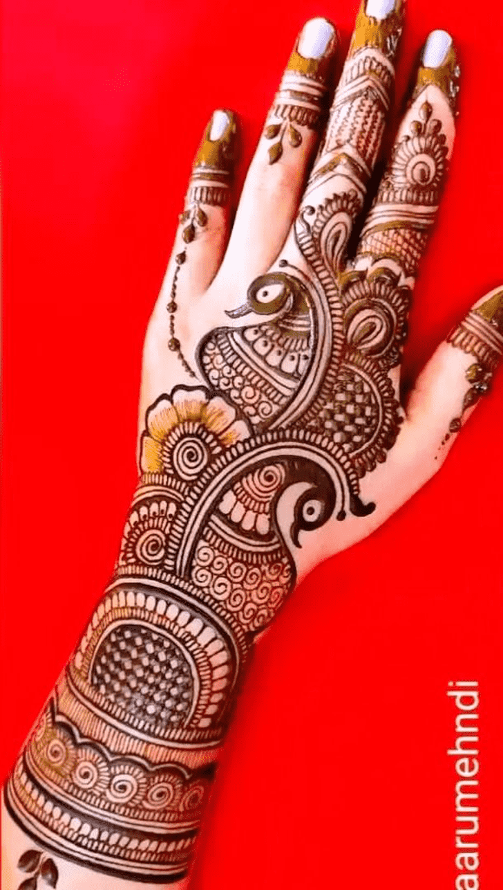 Resplendent Mehndi Art Henna Design