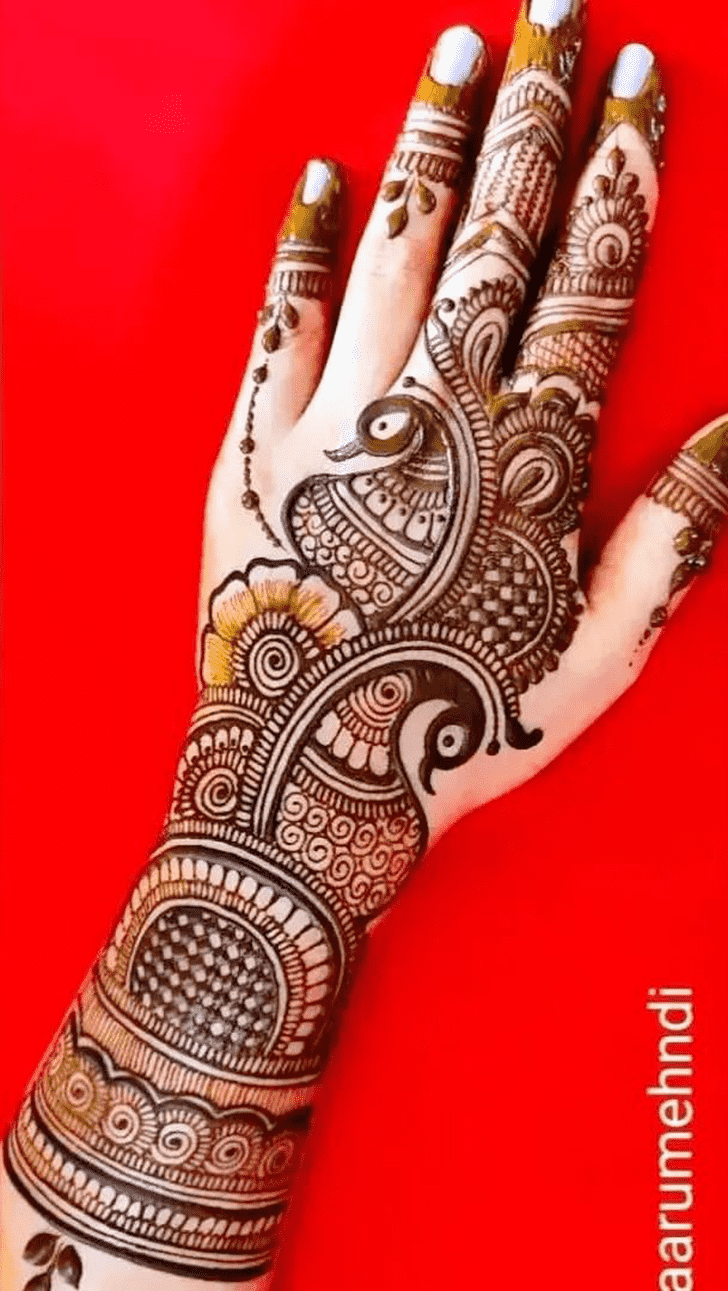 Splendid Mehndi Art Henna Design