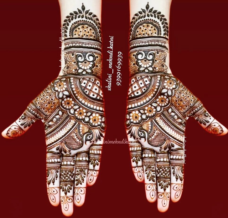 Fine Navratri Special Henna Design
