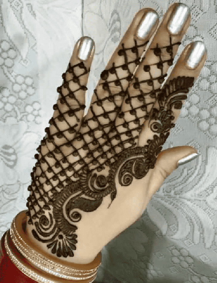 Adorable Net Henna Design