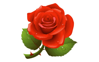 Roses Mehndi Design