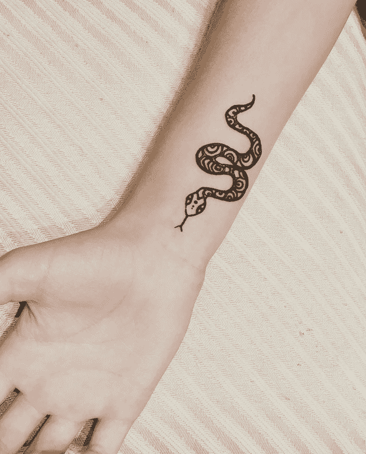 Exquisite Snake Henna Design