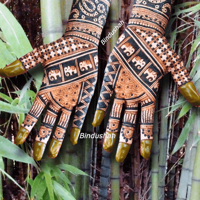 Enticing South Indian Henna Design