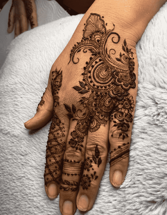 Bewitching Srinagar Henna Design