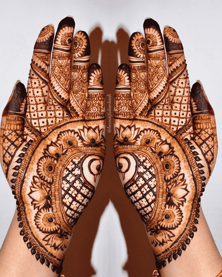 Shapely Stunning Henna design